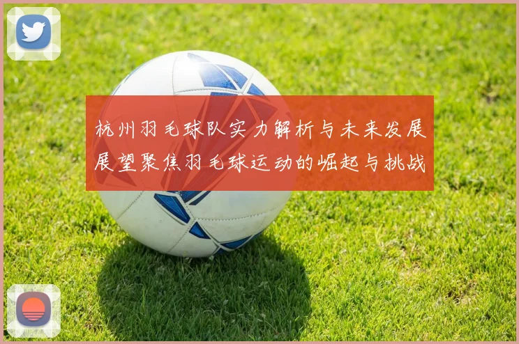杭州羽毛球队实力解析与未来发展展望聚焦羽毛球运动的崛起与挑战