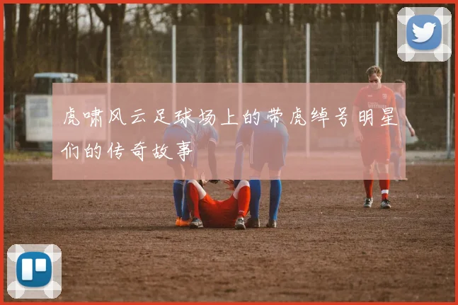 虎啸风云足球场上的带虎绰号明星们的传奇故事