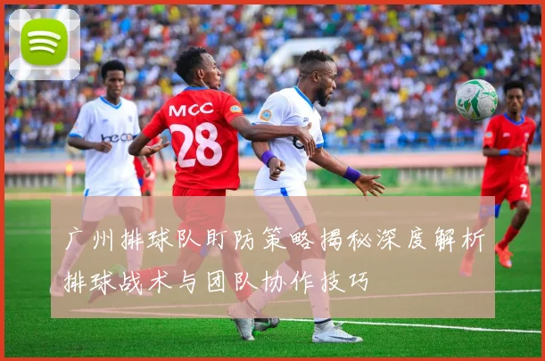 广州排球队盯防策略揭秘深度解析排球战术与团队协作技巧