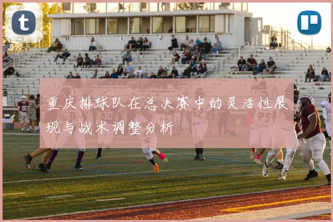 重庆排球队在总决赛中的灵活性展现与战术调整分析
