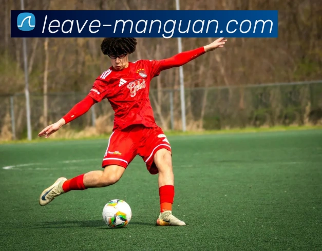 满冠体育平台生态图